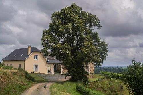 Pesaulhé - Accommodation - Monein