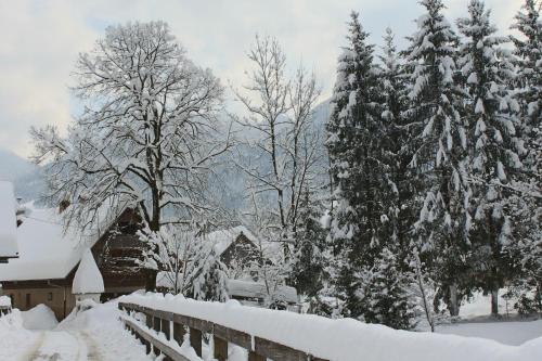 Apartments Na Vasi - Bohinj