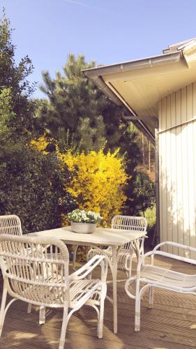 Loft aan Zee, Penthouse B&B aan de Schoorlse duinen