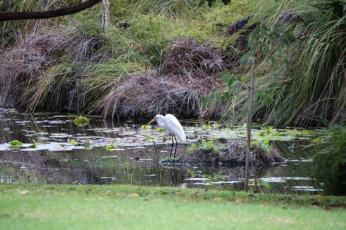 Salamander Bay Bed and Breakfast