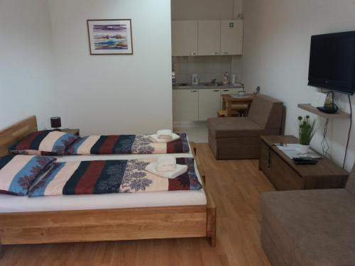  Apartment Soldan in Slavonski Brod