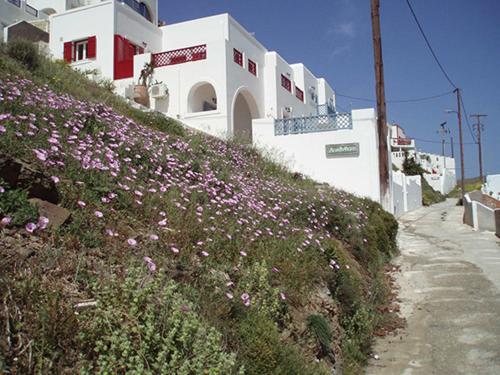  Lefkanthemo in Astypalea-Stadt