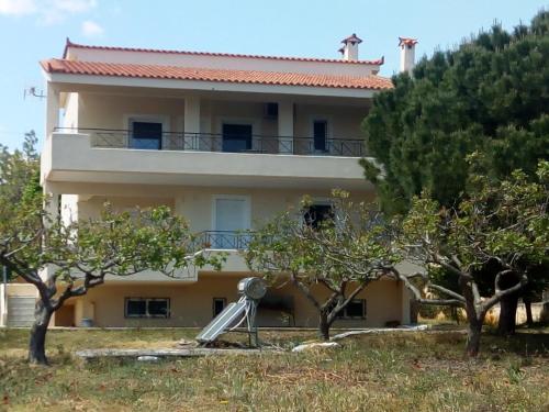  Panorama Artemidos in Artemida