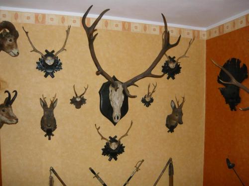 Kotrba privat - image 5