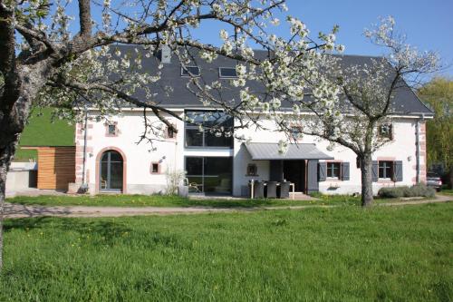 La Colline Du Baa - Maison d'hôtes d'exception - Accommodation - Lapoutroie