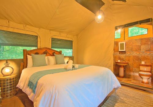 Kruger Adventure Lodge in Hazyview