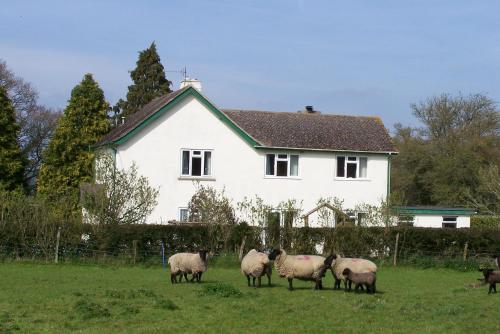 Angels Farm, , Devon