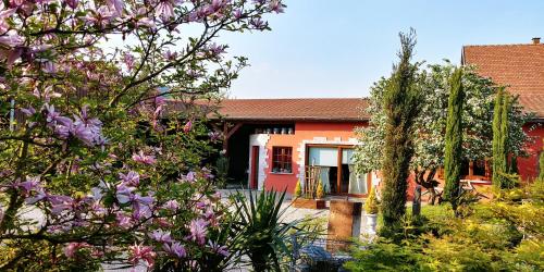 Gîte au centre de l'alsace