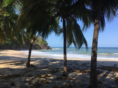 Villa Grand Case in Pointe-Noire