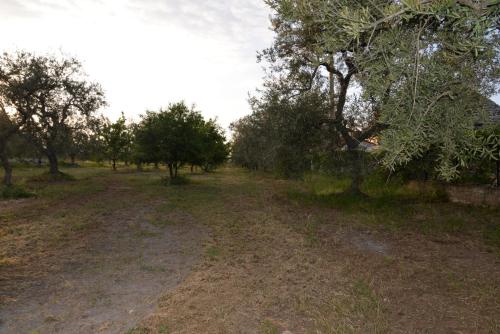 B&B Lara Santola – Corato, LA
