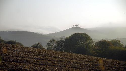 Colly Farm