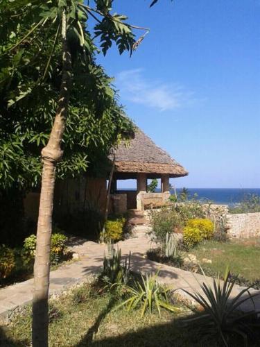 Skats, Mango Lodge MSAMBWENI in Msambweni