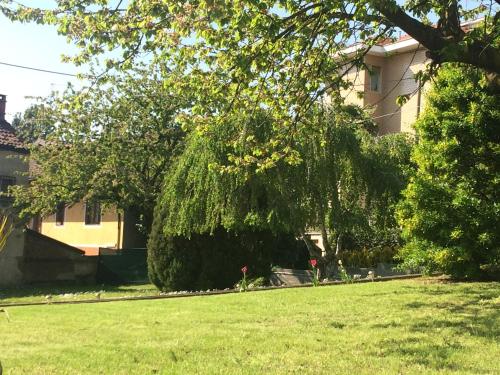 I Ciliegi - Apartment - Moncalieri