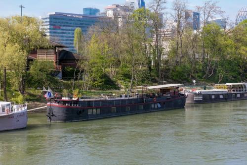 Grande péniche 4 ch - 10 pers -Paris - Ile de Puteaux- terrasses - Location saisonnière - Puteaux