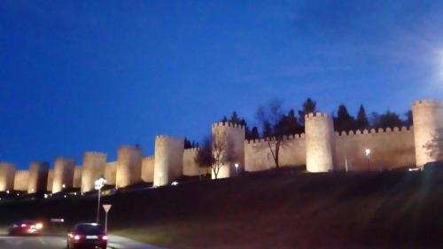 Apartamentos La Eliza - image 5