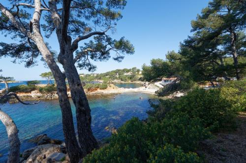 Chez Régine et Serge - Location saisonnière - Bandol