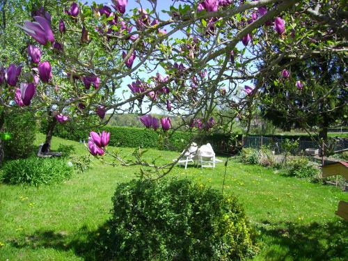  Gästehaus Brückler in Jennersdorf