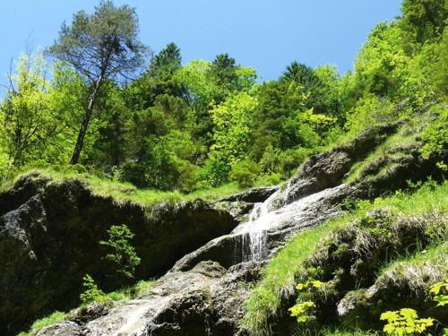 Gasthof Pension Alpenblick