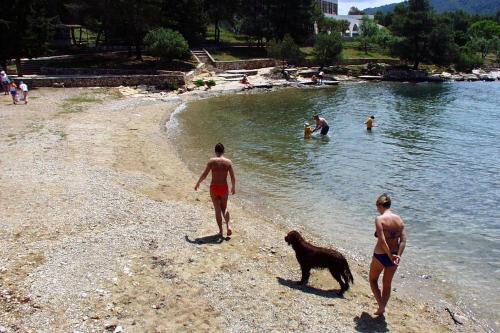  Studio Stari Grad 15241a in Stari Grad