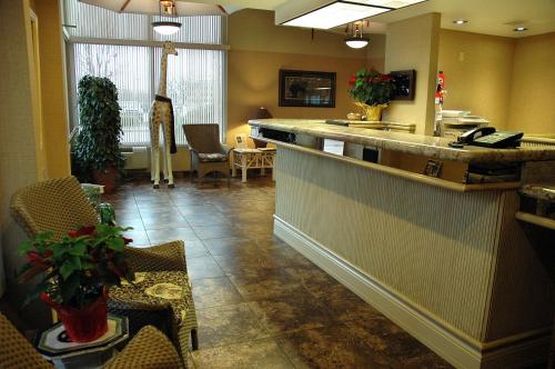 Safari Inn Downtown Boise In Id - 