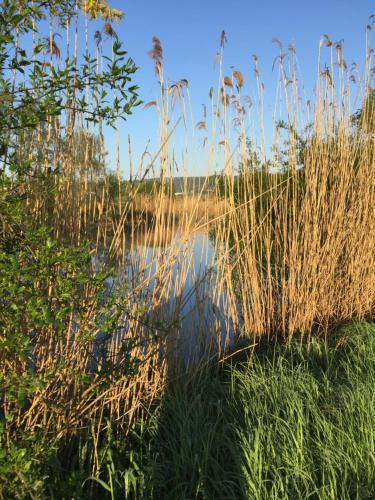 Surrounding environment, FeWo Lahnblick in Lohnberg