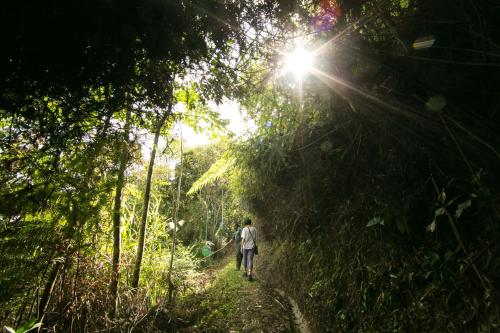 金马仑湖高地湖畔小屋度假村 金马仑湖高地湖畔小屋度假村