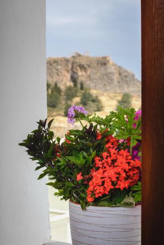  Meandros Suites in Lindos