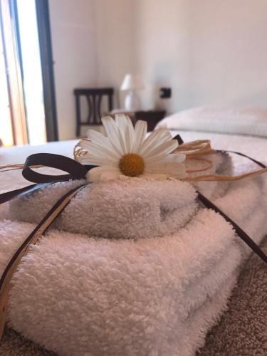 Gallura Affittacamere chambre d'hôte Murta Maria