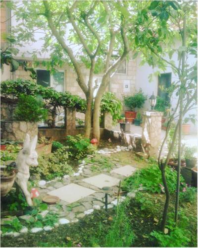 Guest House Mirza photo