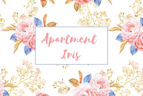  Apartment Iris in Buje