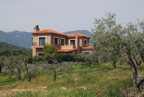 Olive Tree Cottage
