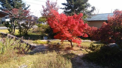 Wakihonjin Hamamatsu