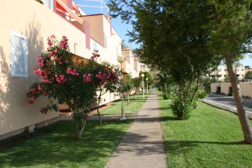Alisios 227 - image 2
