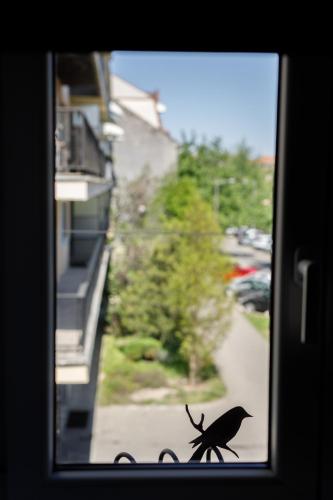 Arhiv Boutique House - image 14
