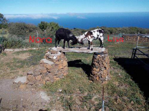 Finca La Ramona Finca La Ramona