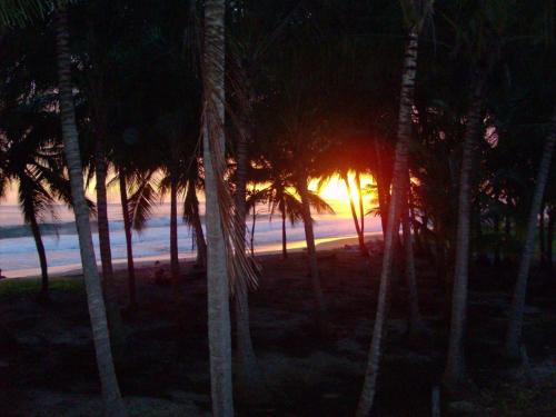 Skats, Plumita Pacifica in Paraiso (Guanacaste)