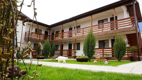 Casa Florenta in Venus