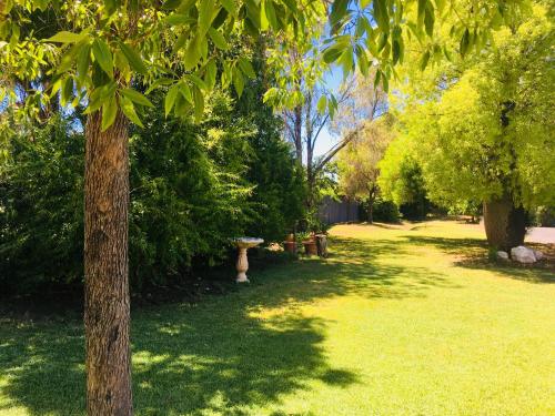 Balonne River Motor Inn in Saint George