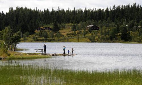 Thon Hotel Skeikampen - image 7