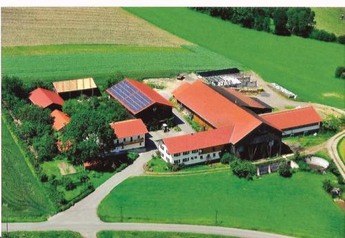 Birkenhof - Apartment - Neukirchen beim Heiligen Blut