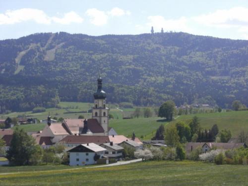 Birkenhof