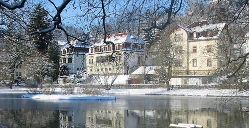 Teichhotel - image 5