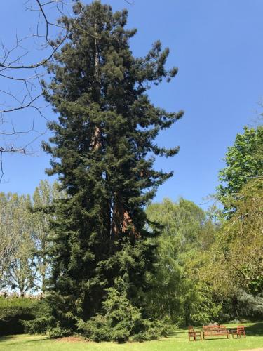 Chambre d'hôte Manoir de Clairbois