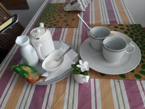 Aruba Harmony Hostel