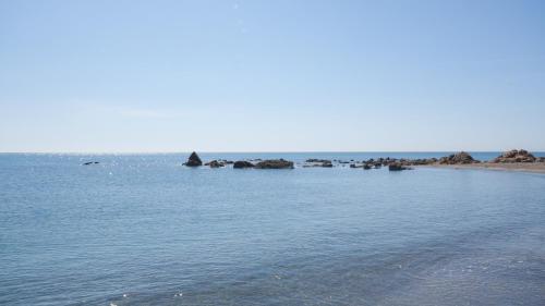 Marina del Castillo 1012 - image 2