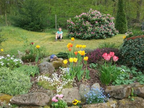 Haus am Kastanienwald - Bad Bergzabern
