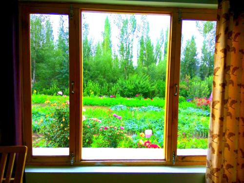 Leh Stumpa - Photo 1