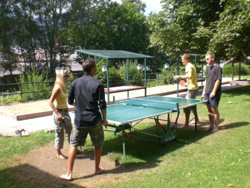 Pesentheinerhof - image 14