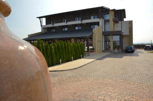 Pensiunea Sara - image 12