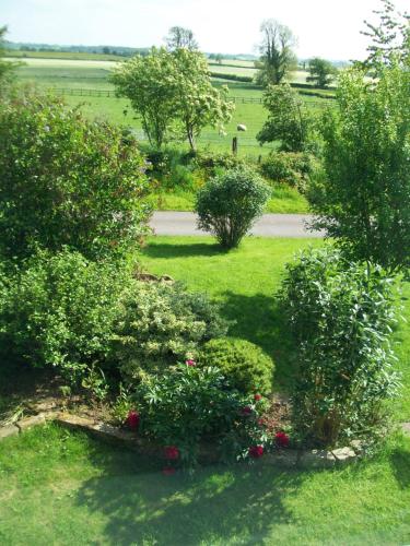 Elmfield House - main image